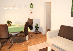 Apartment / app. for 4 guests with 55m² in Todtnau (117513)