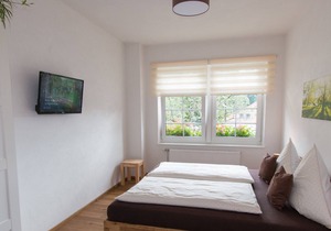 Apartment / app. for 4 guests with 66m² in Todtnau (117502)