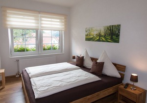 Apartment / app. for 4 guests with 66m² in Todtnau (117502)