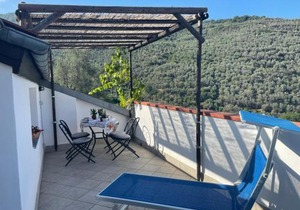 Apartment Asplanato - DOL161 by Interhome