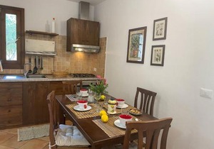 Apartment Asplanato - DOL161 by Interhome