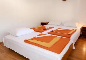 Apartment Biljana - 150m from beach: A3(5) - Gradac, Riviera Makarska, Croatia