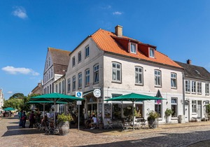 Apartment "Blumenhaus Friedrichstadt" with Wi-Fi