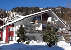 Apartment Blumenweg 10 by Interhome