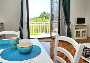 Apartment Bojana in Novi Vinodolski - 4 persons, 1 bedrooms