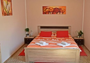 Apartment Boroví