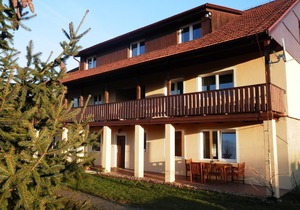 Apartment Boroví