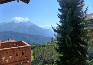 Apartment Chaperon Rouge A, B