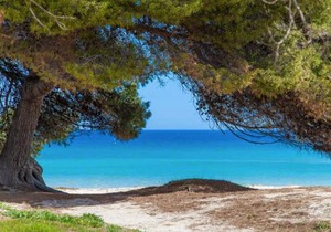 Apartment Countess Garden 2-1, Sun of the Bay Vidalba 1, at Alcudia Beach