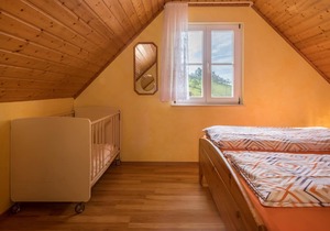 Apartment “Dahlie” on Farm close to Lake Constance with Terrace, Garden & Pool