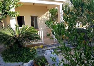 Apartment Damir (53391-A1) - Mali Ston