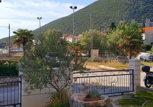 Apartment Damir (53391-A1) - Mali Ston
