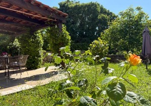 Apartment Dulcis Domus