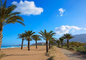 Apartment El Palmeral in Dénia - 4 persons, 2 bedrooms