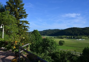 Apartment 'Ferienparadies Bodensee Fewo1' with Mountain View, Shared Pool and Wi-Fi
