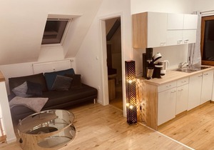 Apartment "Felix Living 3" with Wi-Fi
