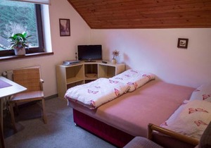 Apartment Harrachov 4