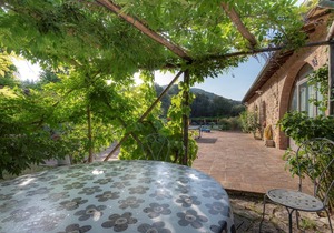 Apartment in Chianti with pool ID 450