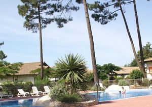 Apartment in greens, 6 km. from Gujan-Mestras