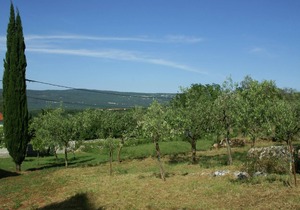 Apartment in Krnica near Beach & BBQ