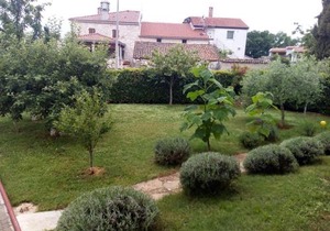 Apartment in Porec with balcony, air conditioning, W-LAN, washing machine 3362-2