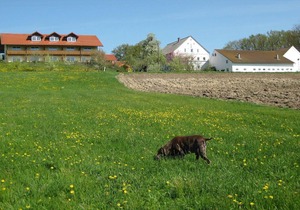 Apartment in Rotthalmünster with Terrace,Garden,Parking, BBQ