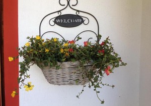 Apartment in villa 2 to 4 persons with large private garden Sole