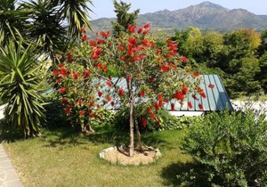 Apartment in villa 2 to 4 persons with large garden stella