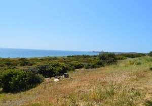 Apartment Is Fassonis 100 meters from the sea