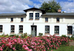 Apartment IV - Apartments in farmhouse - Property 44365