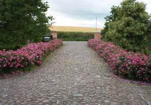 Apartment IV - Apartments in farmhouse - Property 44365