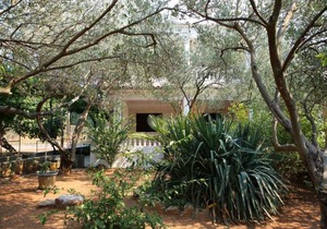 Apartment Ivo - relaxing & comfortable: A1 Vrgada (Island Vrgada), Riviera Biograd