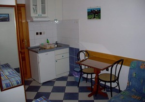 Apartment Jadranka - 200 m from sea: SA1(2) - Sucuraj, Island Hvar, Croatia