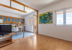Apartment Kamelicina I