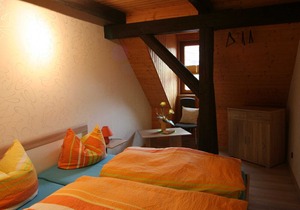 Apartment Kaulberg - Guesthouse Tröbs Apartments in the pearl of the southern Harz