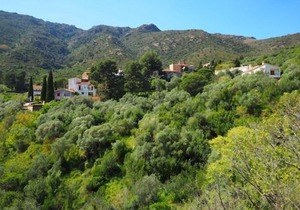 Apartment La Rectoria