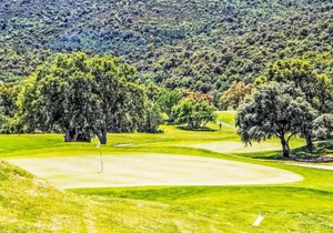 Apartment Le Golf de Roquebrune by Interhome