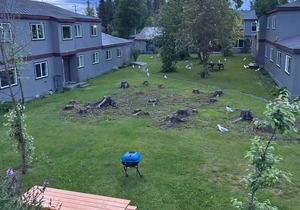 Apartment less than a mile from the mouth of the Kenai River and beach access!