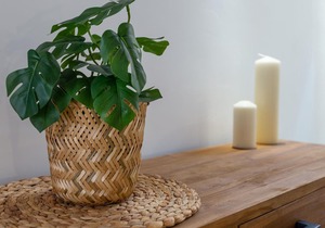 Apartment Málaga, 2 bedrooms, 4 persons
