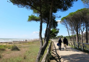 Apartment Magnolia in Bibione - 5 persons, 2 bedrooms
