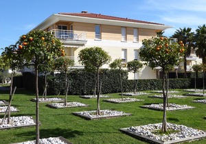 Apartment near sea and city