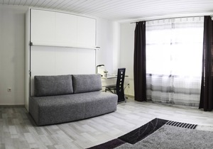 Apartment near the city center