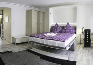 Apartment near the city center