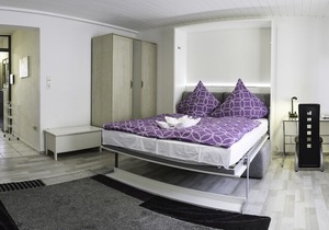 Apartment near the city center
