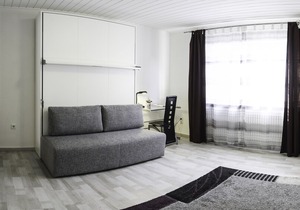 Apartment near the city center