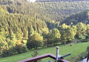 Apartment Nordenau, 61sqm, 2 bedrooms, max. 4 persons