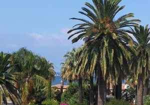 Apartment Oasis Beach I Marineta AP2124