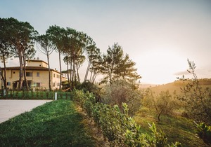 Apartment on the Chianti hills with swimming pool between Florence and Sienn