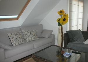 Apartment Palmeira III-3