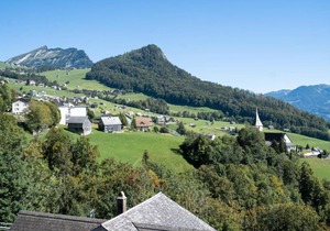 Apartment Penthouse Brugg